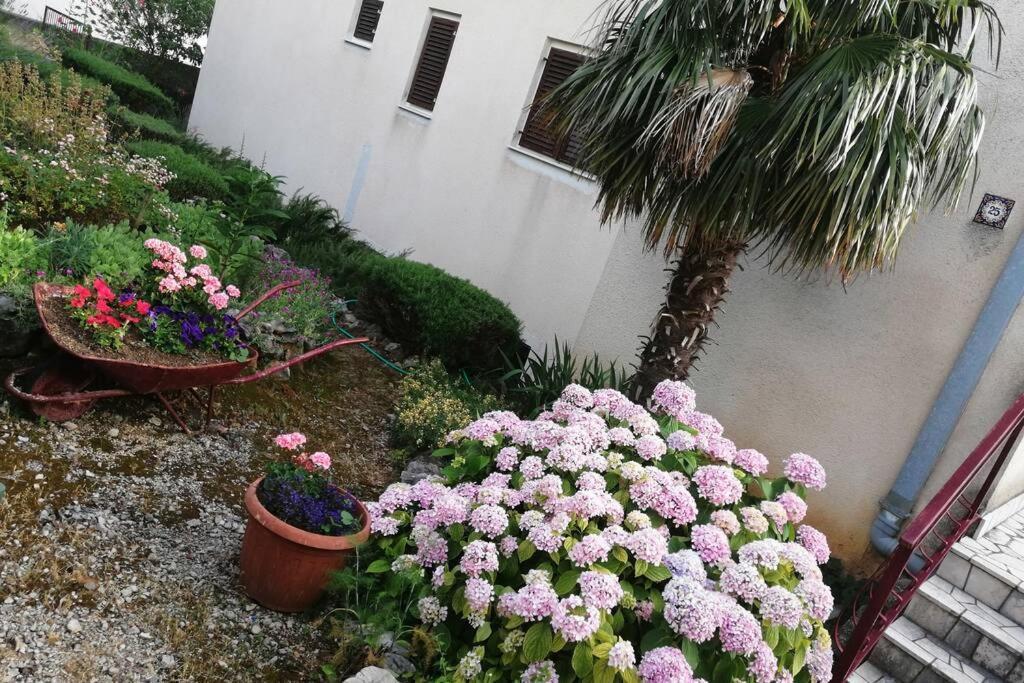 Spacious 2-Room Apartment With Beautiful Sea View Crikvenica Buitenkant foto